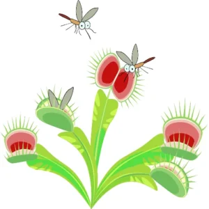 Illustration einer Cartoon-Venusfliegenfalle, einer fleischfressenden Pflanze aus dem Südosten der USA, in deren Nähe zwei Fliegen schweben.