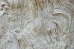 Effiziente Holzverarbeitung: Nachhaltigkeit und Qualität