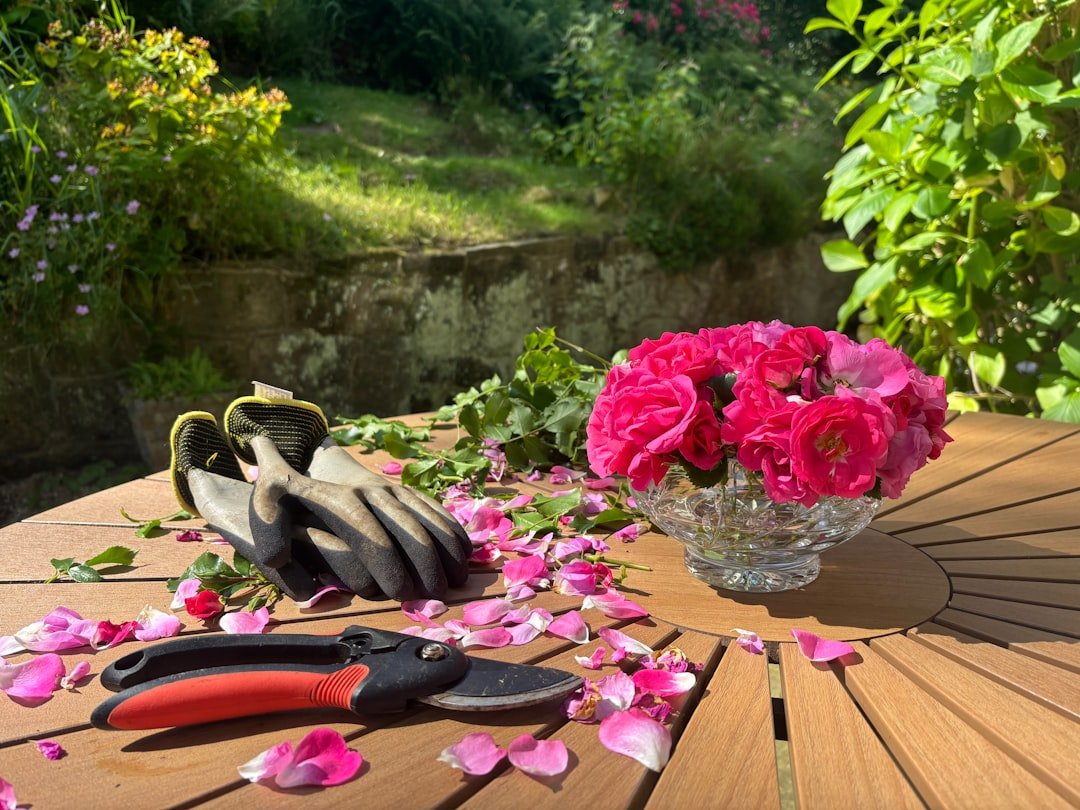 Photo Pruning shears