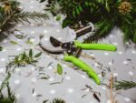 Photo Pruning shears