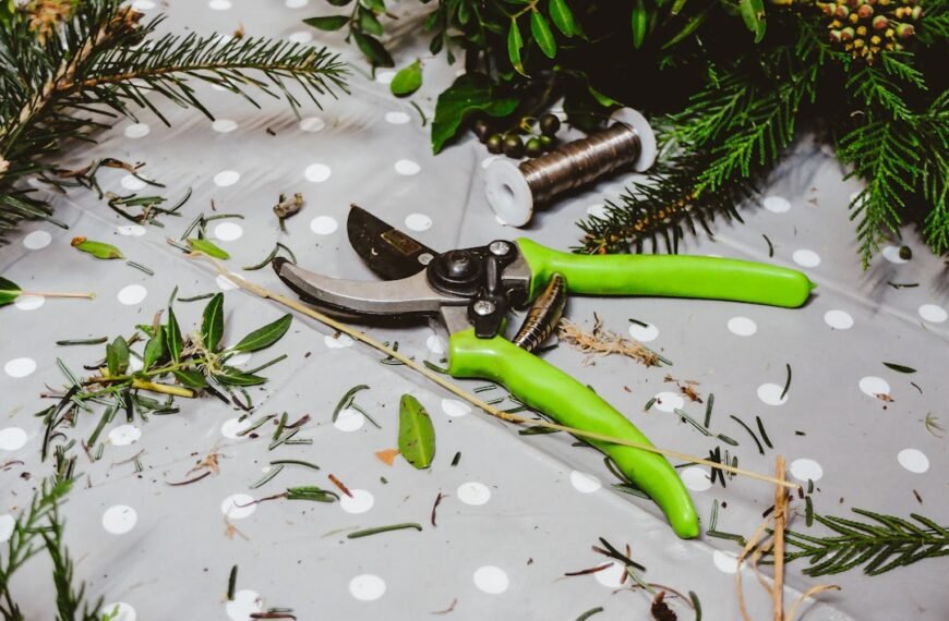 Photo Pruning shears