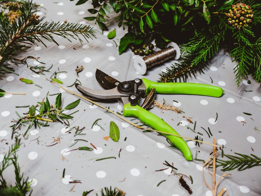 Photo Pruning shears