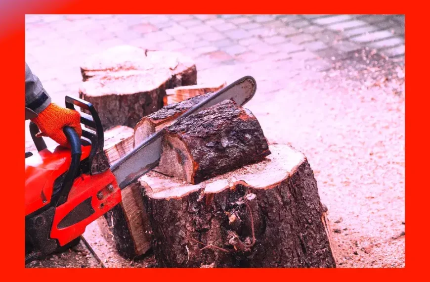 Eine Person, die Handschuhe trägt, schneidet mit einer der besten Motorsägen ein Holzstück von einem Baumstumpf ab; in der Nähe liegen Sägespäne und andere abgesägte Holzstücke verstreut.