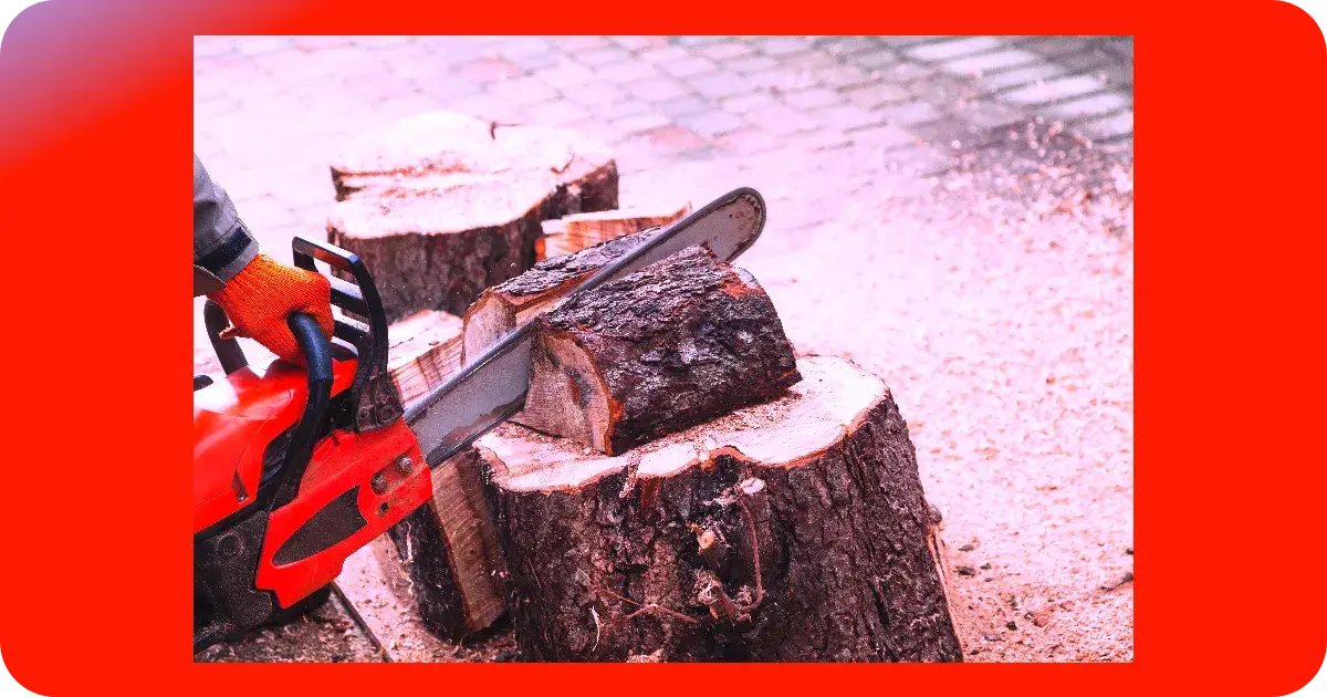 Eine Person, die Handschuhe trägt, schneidet mit einer der besten Motorsägen ein Holzstück von einem Baumstumpf ab; in der Nähe liegen Sägespäne und andere abgesägte Holzstücke verstreut.